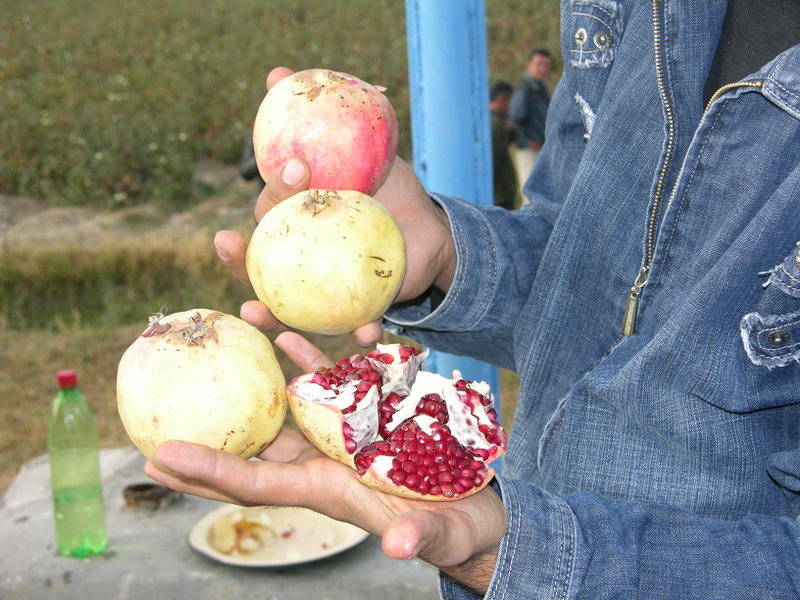 Not all pomegranates have the same seed color. Some pomegranate seeds are red and some off whit ...