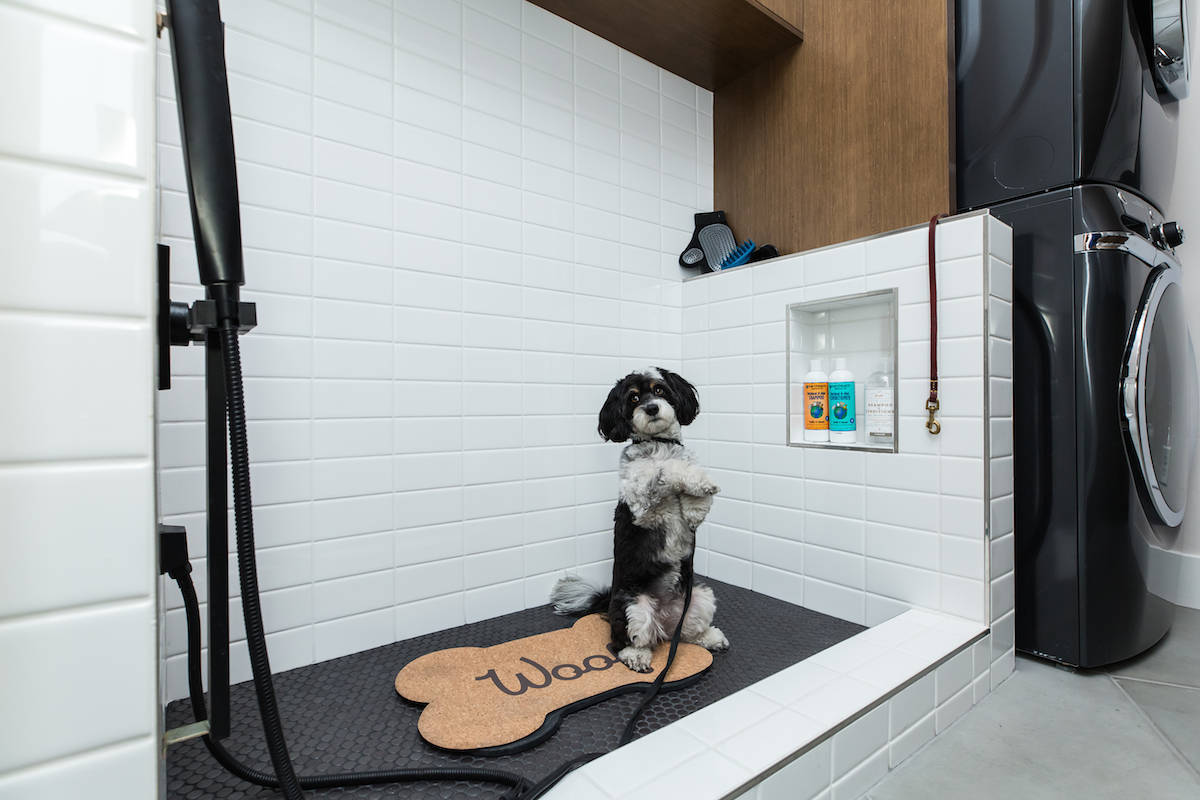 Nova Ridge by Pardee Homes in The Cliffs village offers a dog wash option that’s fully custom ...