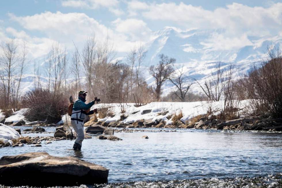 Winter fly fishing in the Provo River, with majestic Mount Timpanogos in the background. (Park ...