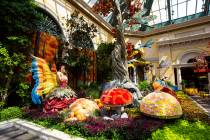 A fairy and dragonflies are seen in the "Into the Woods" fall display at the Bellagio Conservat ...