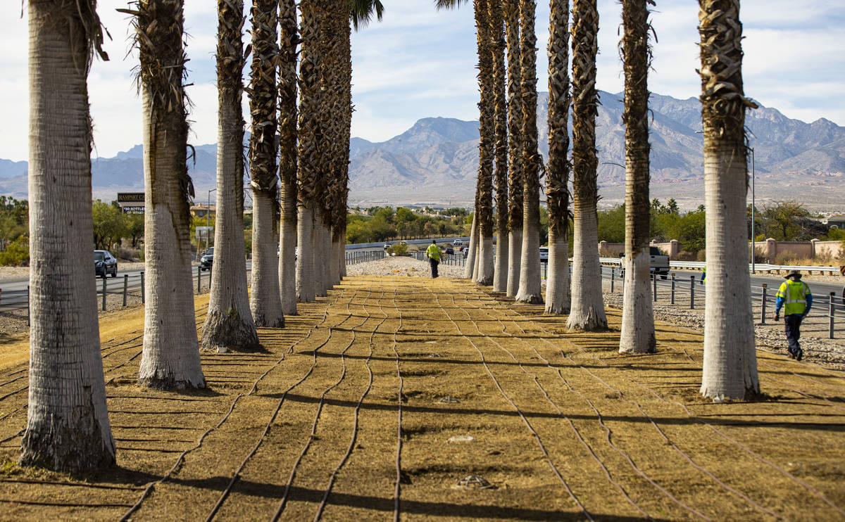 Workers with the BrightView landscaping company walk by new irrigation lines that are being ins ...