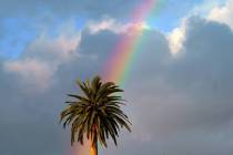 A rainbow is seen in the Echo Park area of Los Angeles on Saturday, Nov. 7, 2020. ( (AP Photo/D ...