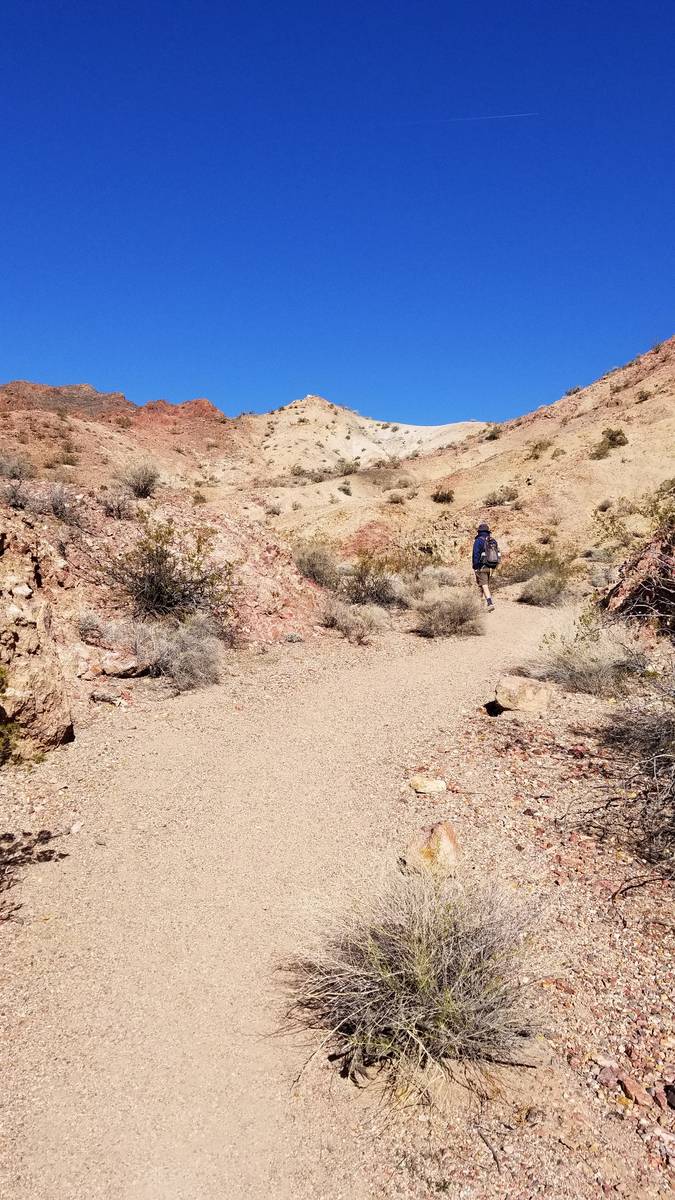 The view from the beginning of the River Mountain Hiking Trail. (Natalie Burt Las Vegas Review- ...