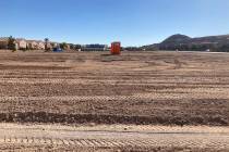 Developers American Nevada Co. and First Federal Realty DeSimone plan to build a 50,000-square- ...