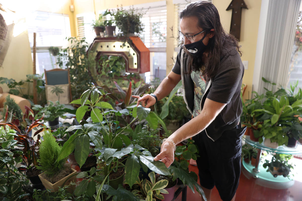 Plant enthusiast T.J. Dahna shows his collection of plants at his home in Las Vegas on Thursday ...
