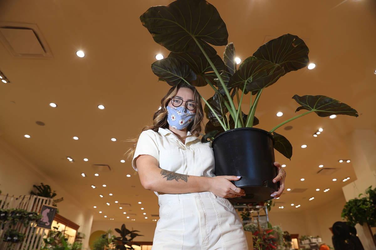 Brooklyn Martell, owner of Carrie Lynn’s plant shop in Downtown Summerlin, poses for a portra ...