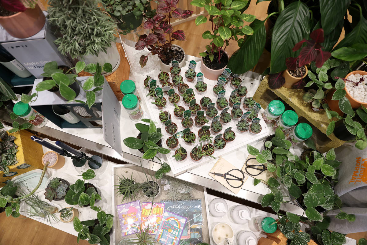 Plants for sale at Carrie Lynn’s plant shop in Downtown Summerlin on Thursday, Nov. 19, 2020. ...