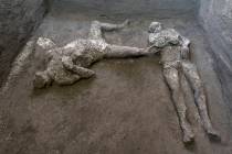The casts of what are believed to have been a rich man and his male slave fleeing the volcanic ...