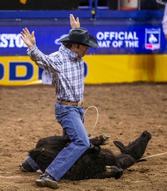 Adam Gray of Seymour, Texas, in Tie-Down Roping at the tenth go round of the Wrangler National ...