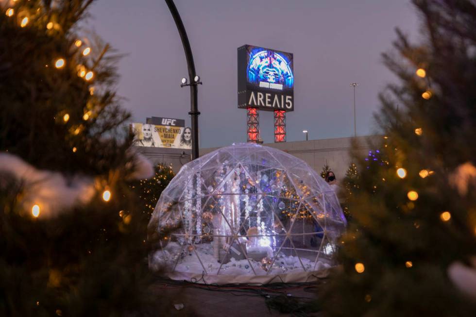 Lit trees surround igloos during the kick off of "Wanderland" holiday experience at Area15 on F ...