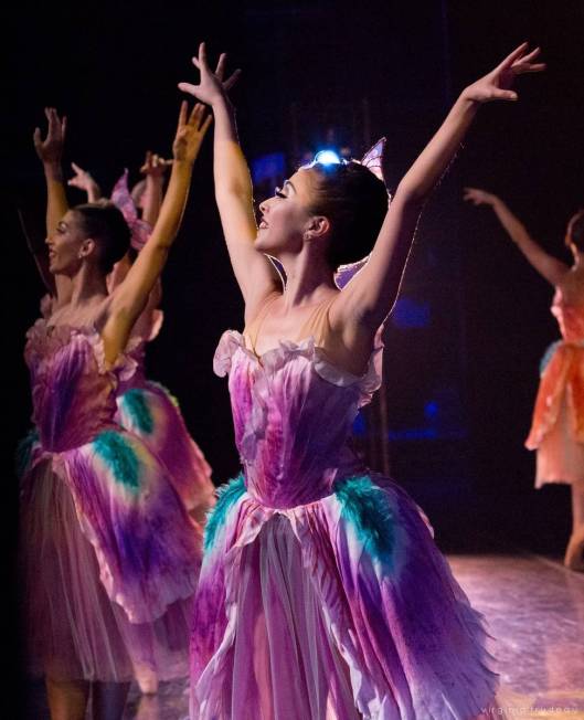 Nevada Ballet Theatre's "The Nutcracker" will be coming to television as part of a three-episod ...