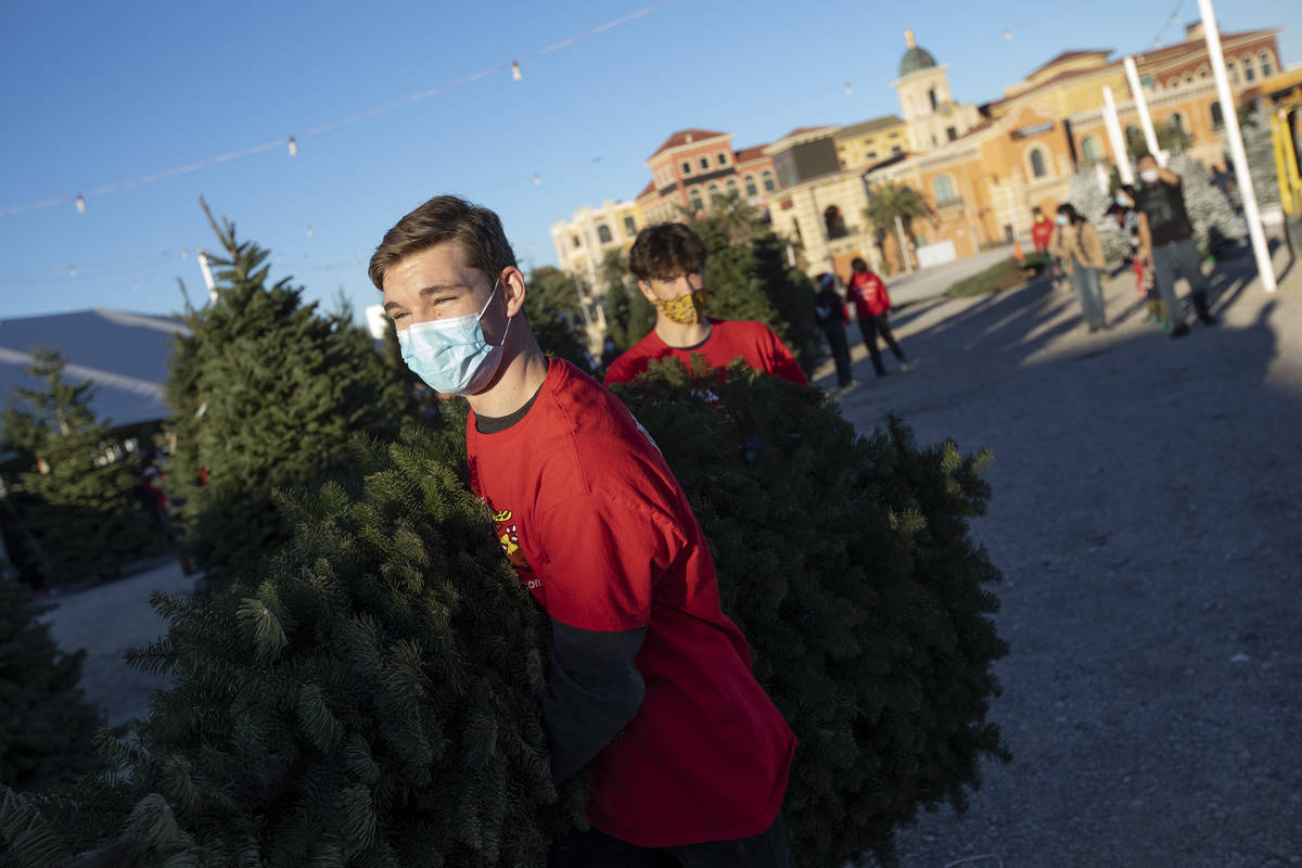 Seasonal employees Troy Griffin, left, and Ronnie Forslund, center, carry a Christmas tree to a ...