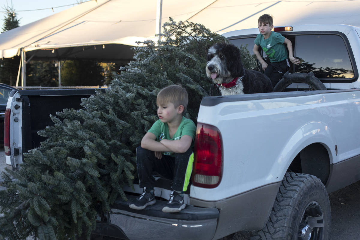 Carson Williams, 7, left, his dog Mavis, center, and his brother Hayden Williams, 6, right, wai ...