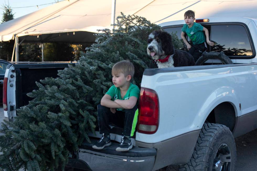 Carson Williams, 7, left, his dog Mavis, center, and his brother Hayden Williams, 6, right, wai ...