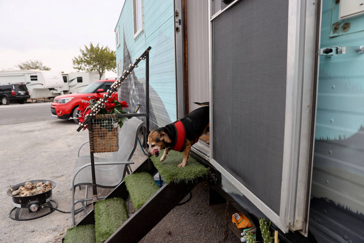 Hannah Doss' dog Banjo at their tiny home in Boulder City Friday, Dec. 11, 2020. Doss bought th ...