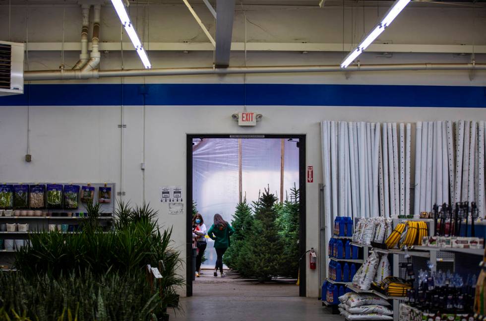 Lisa Chatham, left, and her daughter, Maddy Chatham, shop for a Christmas tree at Star Nursery ...