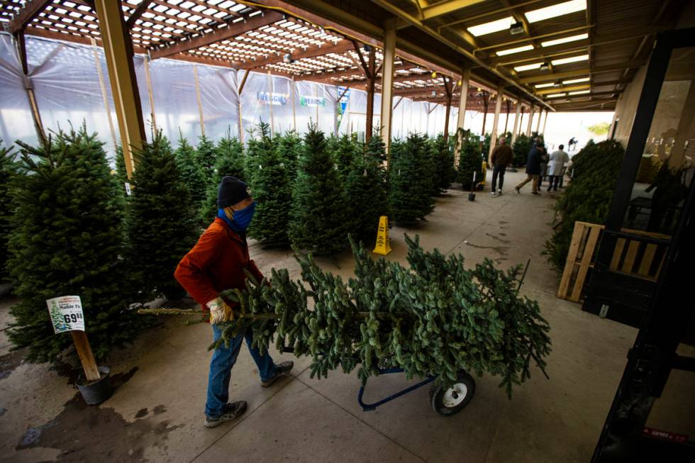 Brian Beeler, in outdoor sales at Star Nursery, moves a Christmas tree for customers at Star Nu ...