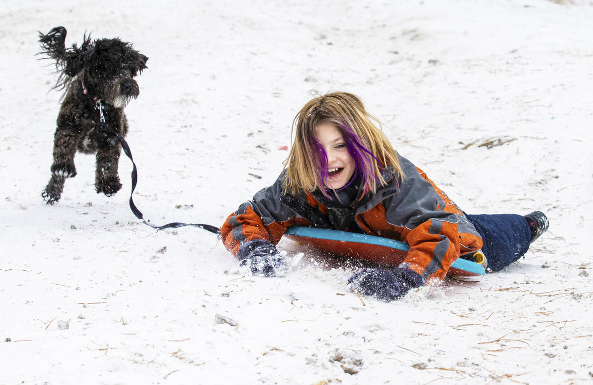 Bailey Crane, right, 9, and her dog Raven sled down a hill at Lee Canyon on Monday, Dec. 28, 20 ...