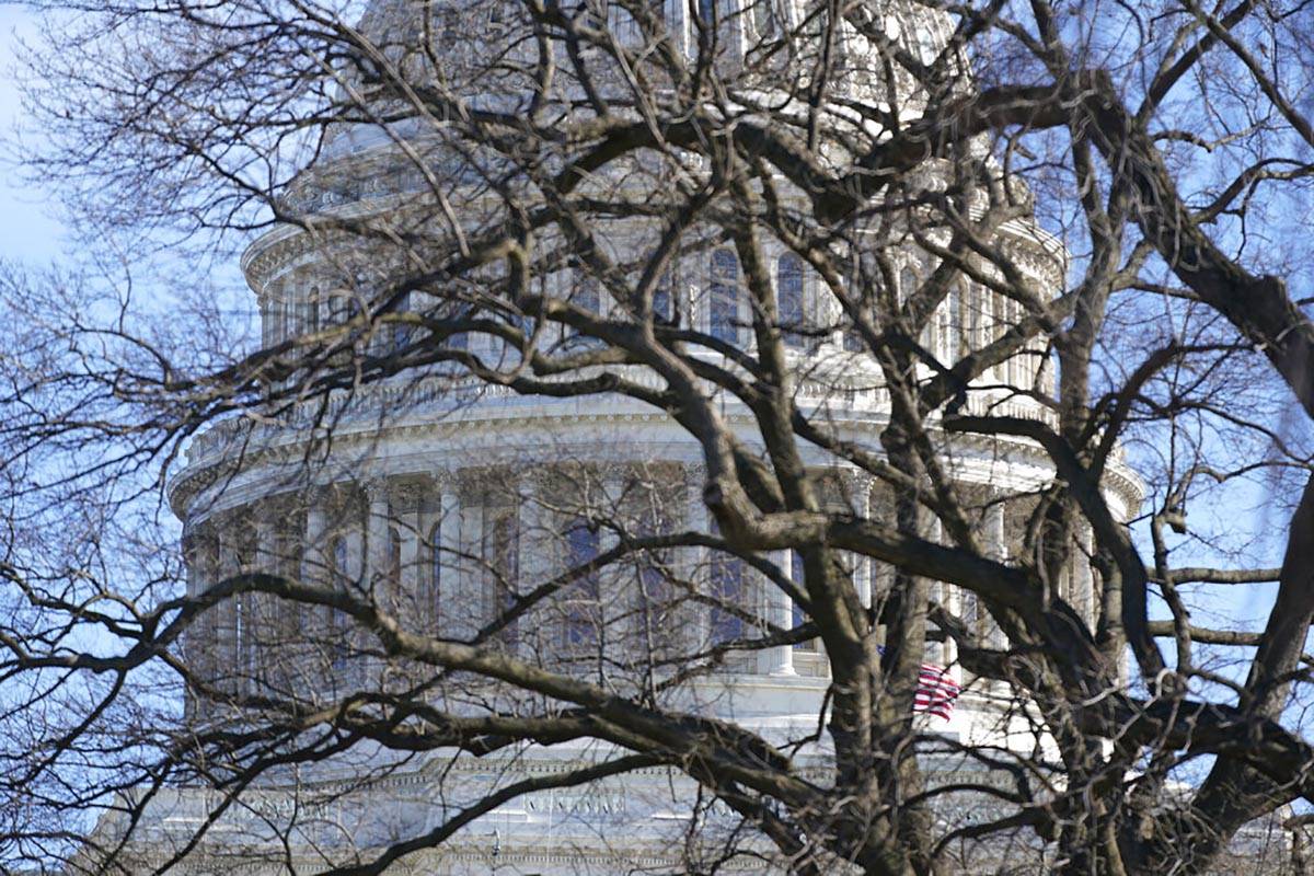 The U.S. Capitol dome stands above bare tree branches, Saturday, Jan. 9, 2021, in Washington. ( ...