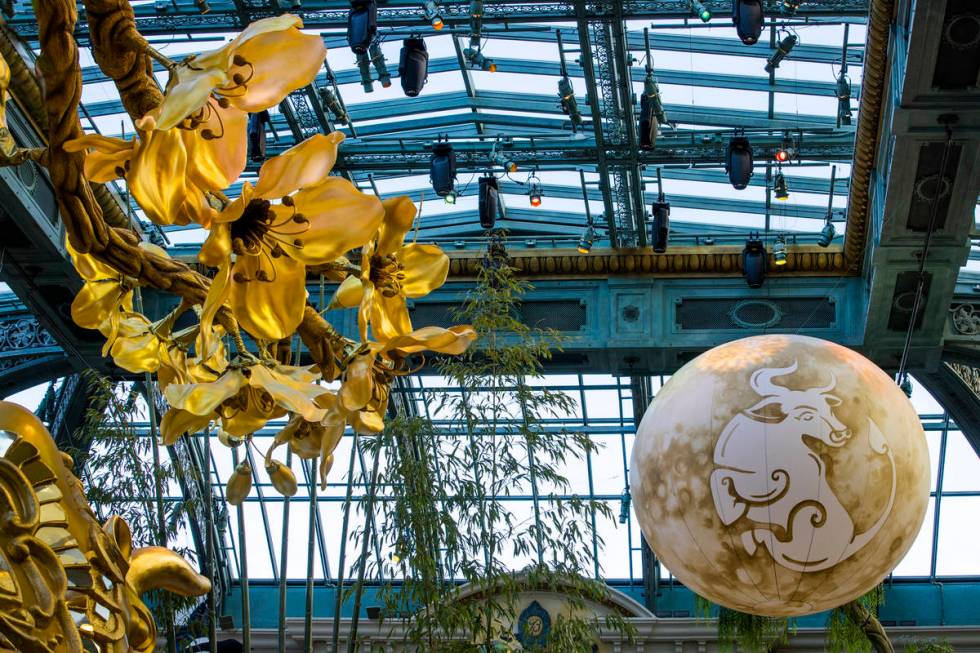 An ox on the moon floats over top as the Bellagio Conservatory & Botanical Gardens debut its di ...