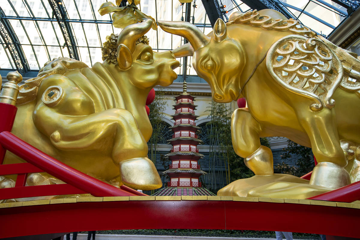 A golden ox couple looks at each other lovingly as the Bellagio Conservatory & Botanical Garden ...