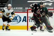 Arizona Coyotes defenseman Alex Goligoski (33) reacts as he watches the puck in front of Coyote ...