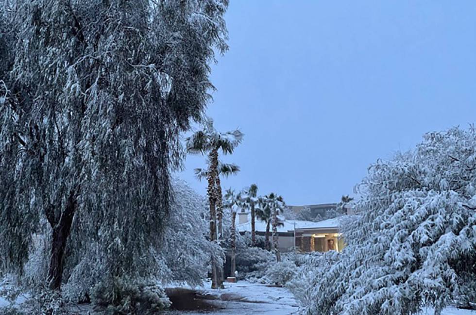 Snow covers the foliage at the Siena subdivision in Summerlin on Tuesday, Jan. 26, 2021. (John ...