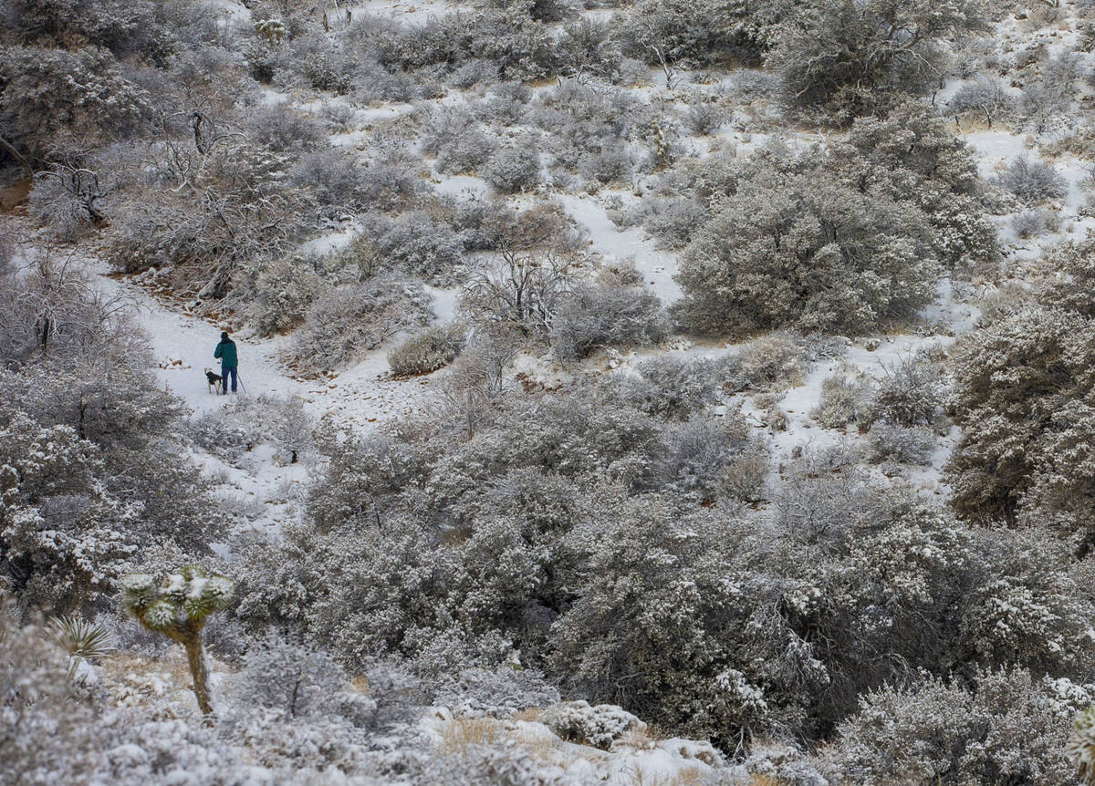 A man hikes with his dog in the valley below the overlook on a snowy day in the Red Rock Conser ...