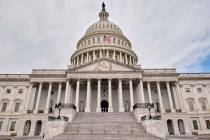 The United States Capitol Building in Washington D.C. (AP Photo/Mark Tenally)