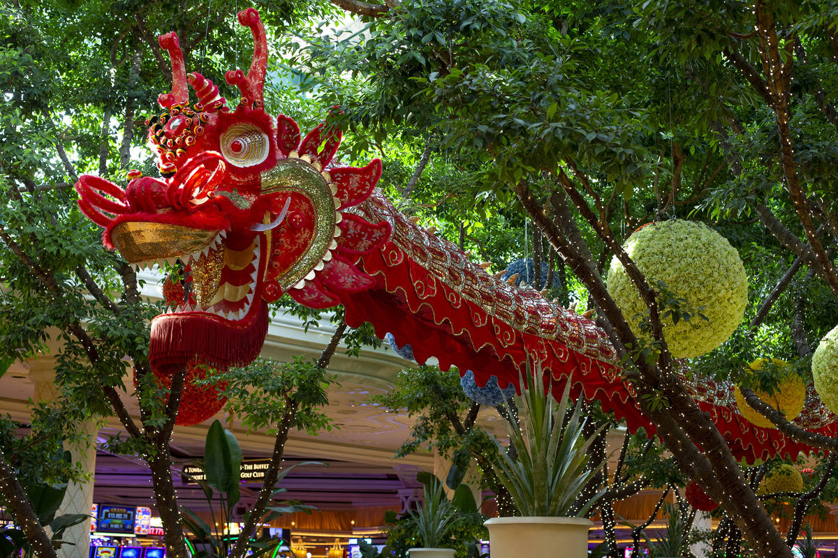 45-foot silk dragons are installed at Wynn Las Vegas for the Lunar New Year on Friday, Feb. 5, ...