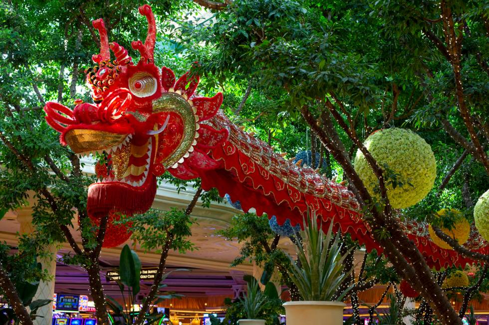 45-foot silk dragons are installed at Wynn Las Vegas for the Lunar New Year on Friday, Feb. 5, ...