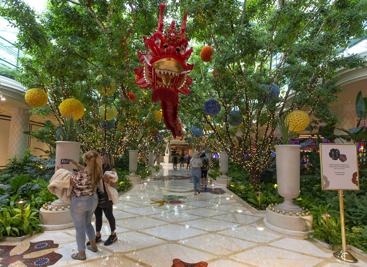 Silk dragons, 45 feet long, are installed at Wynn Las Vegas for the Lunar New Year on Friday, F ...