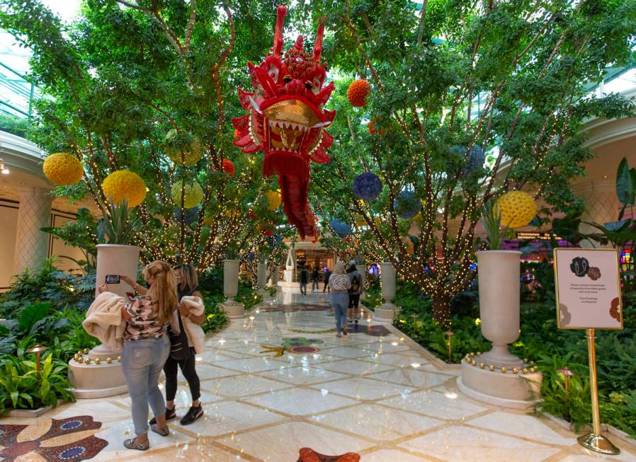 Silk dragons, 45 feet long, are installed at Wynn Las Vegas for the Lunar New Year on Friday, F ...