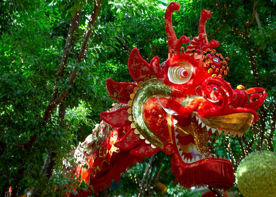 45-foot silk dragons are installed at Wynn for the Lunar New Year on Friday, Feb. 5, 2021, in L ...