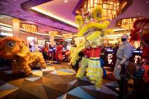 The Lohan School of Shaolin performs the Chinese Lion dance in celebration of the Lunar New Yea ...
