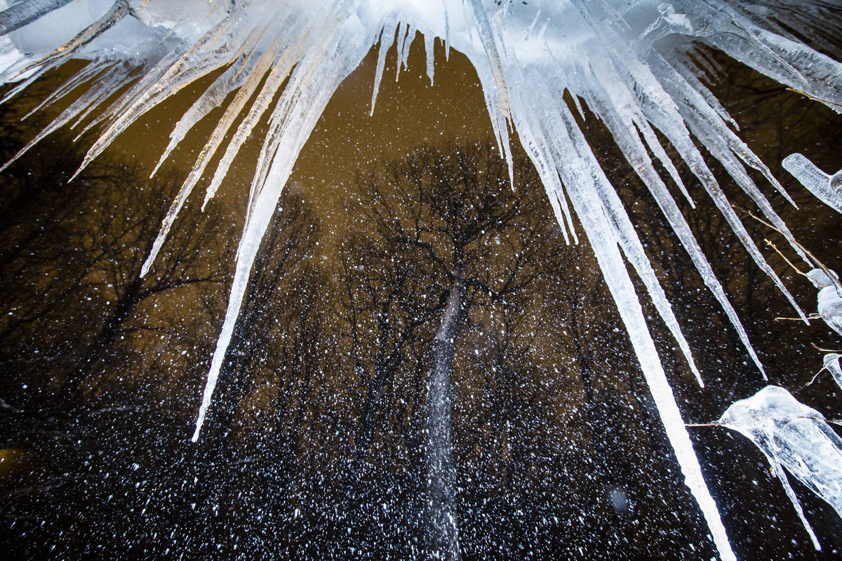A camera flash illuminates snow near icicles Monday, Feb. 15 at the Rum Village Nature Center i ...