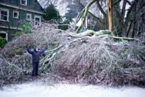 A resident poses by a large ice-covered tree along NE 24th Avenue, Monday, Feb. 15, 2021, in Po ...