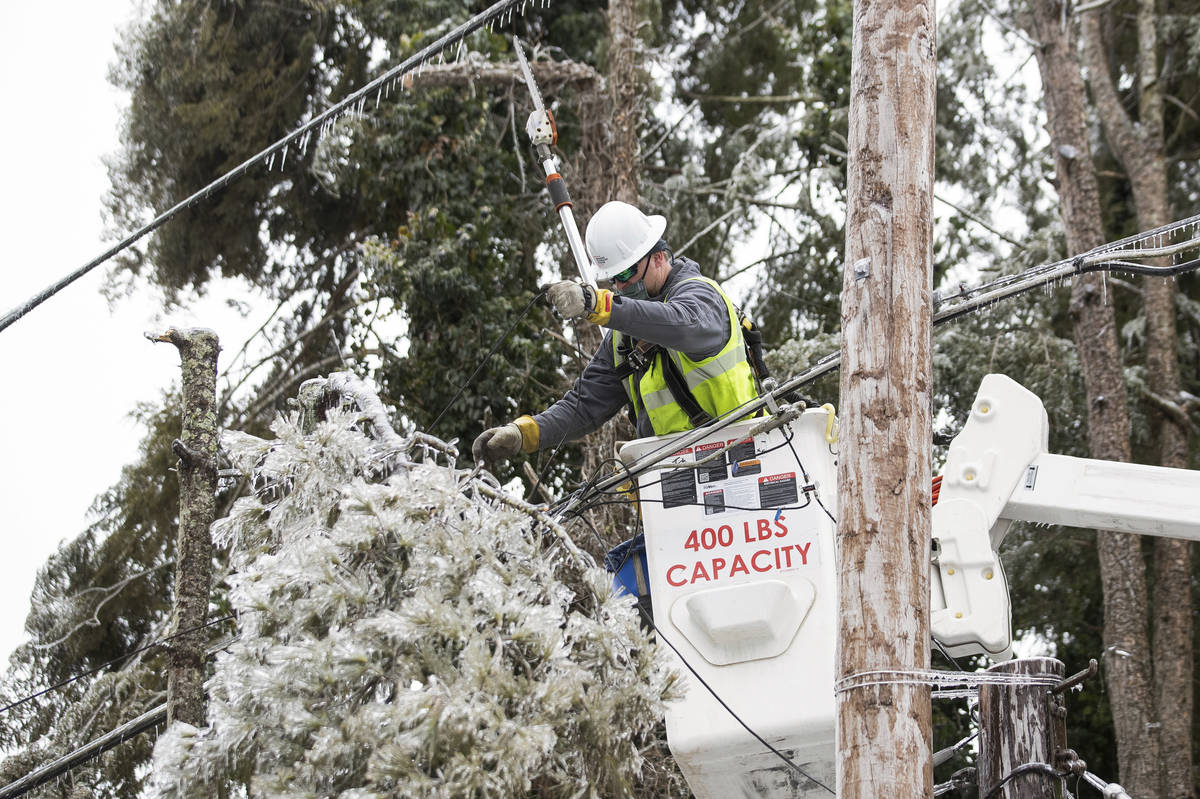 An AEP worker begin cuts tree branches from a power line, as the area continues to deal with th ...