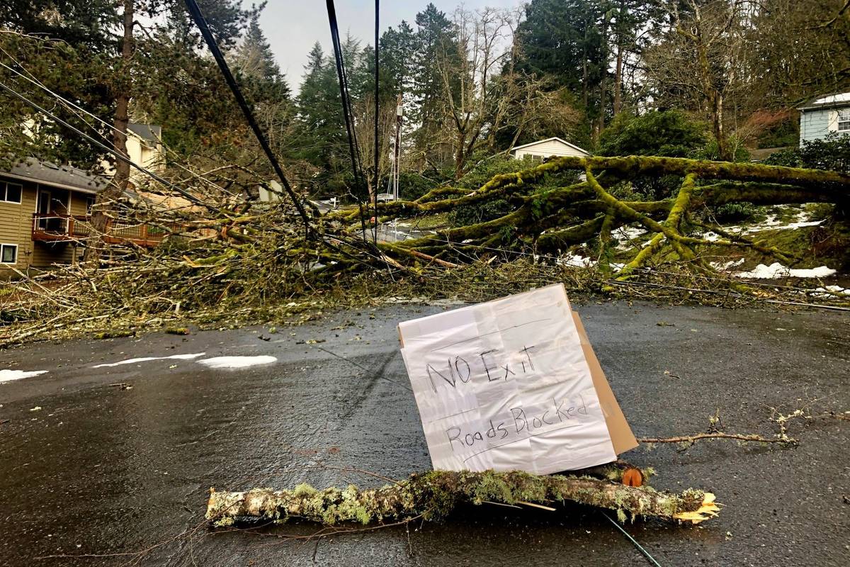 A large tree downed in a weekend ice storm sits atop power lines on Wednesday, Feb. 17, 2021 in ...