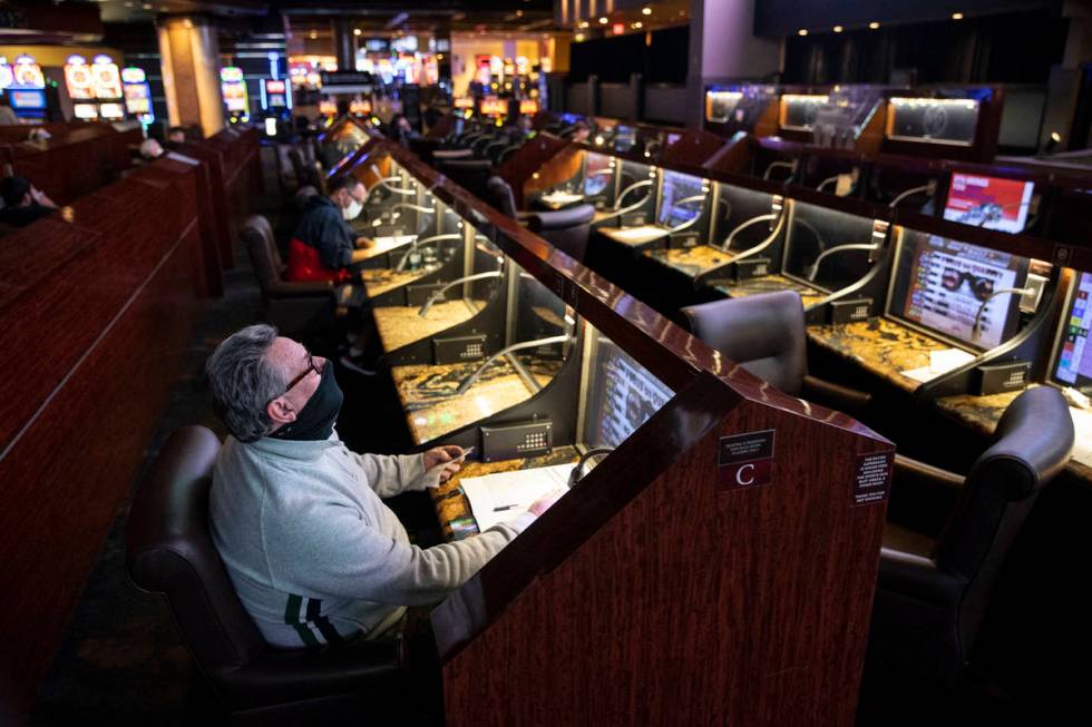 Bruce Kauffman of St. Petersburg, Fla., watches a horse race at the Westgate sportsbook in Las ...