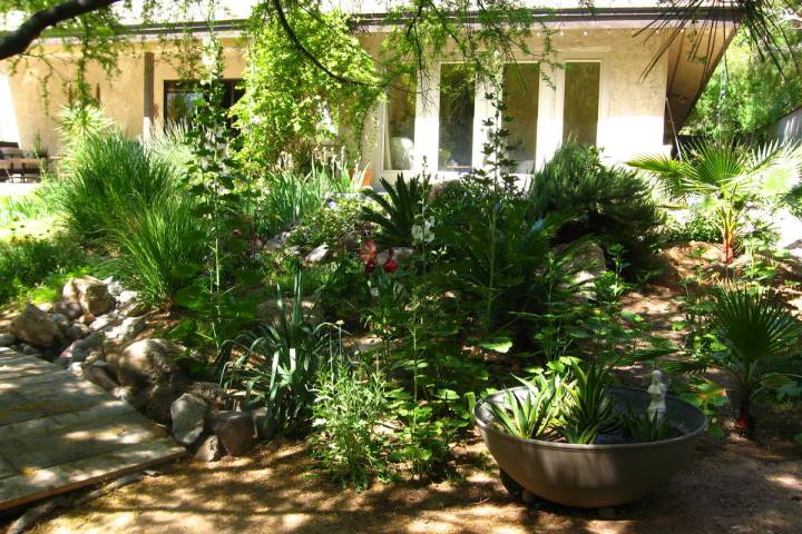 This landscape on a half-acre uses about $250 each month during the summer. Landscape plants pr ...