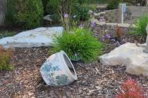 Rocks, mulch, shrubs and social garlic are part of this xeriscape landscape. (Getty Images)