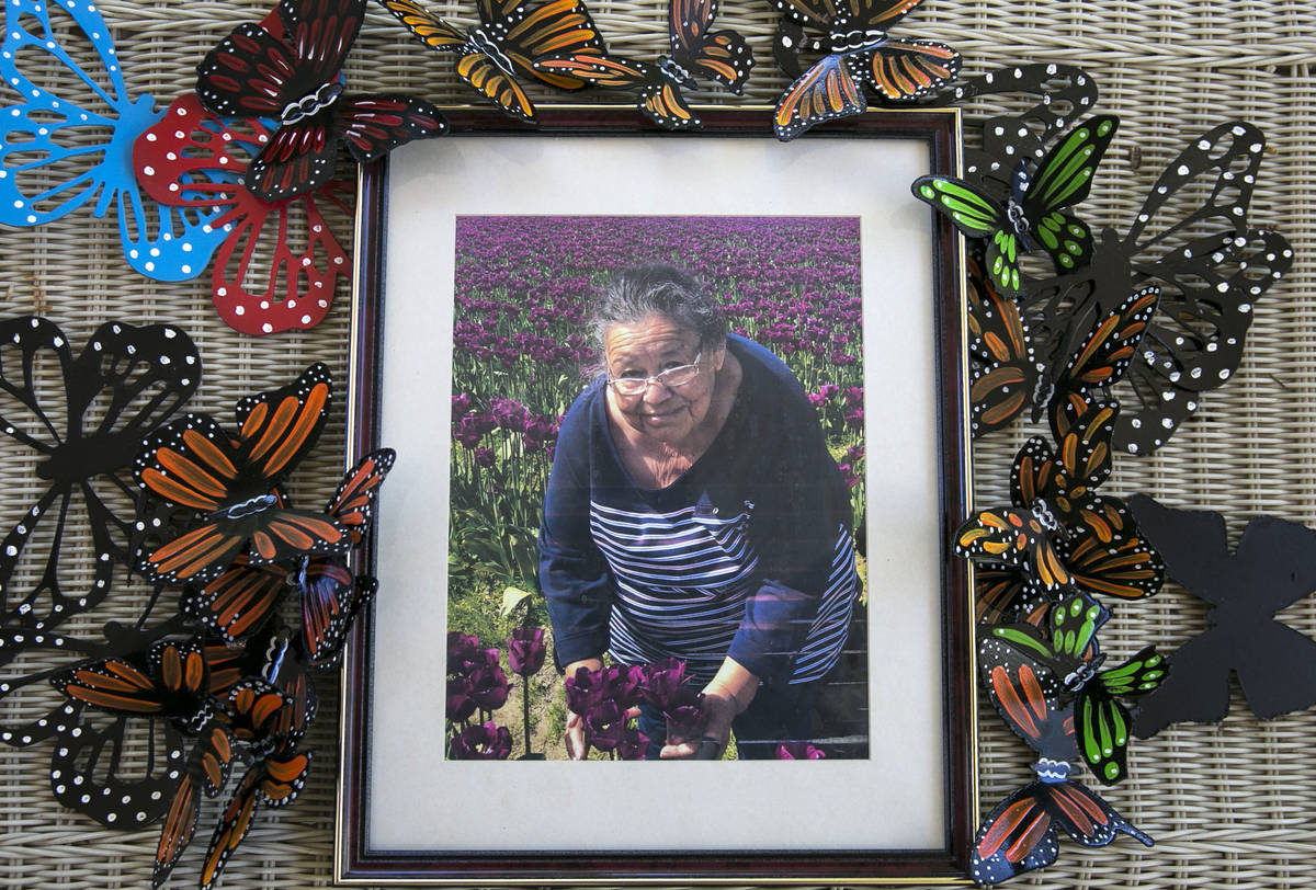 A photograph of Maria Urrabazo is displayed with handmade butterflies at her son's North Las Ve ...