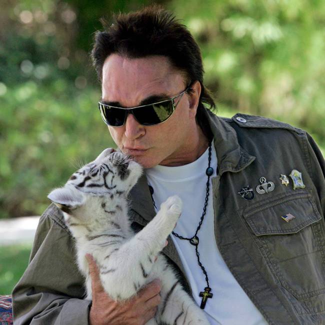 Roy Horn, of the illusionist team of Siegfried & Roy, kisses a 6-week-old, white-striped tiger ...