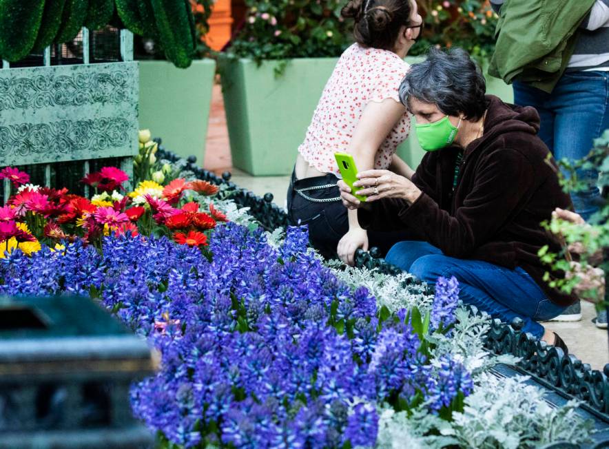 Vicki Cavenah of Tulsa, Okla., takes a picture of the Chelsea Garden at the Bellagio Conservato ...