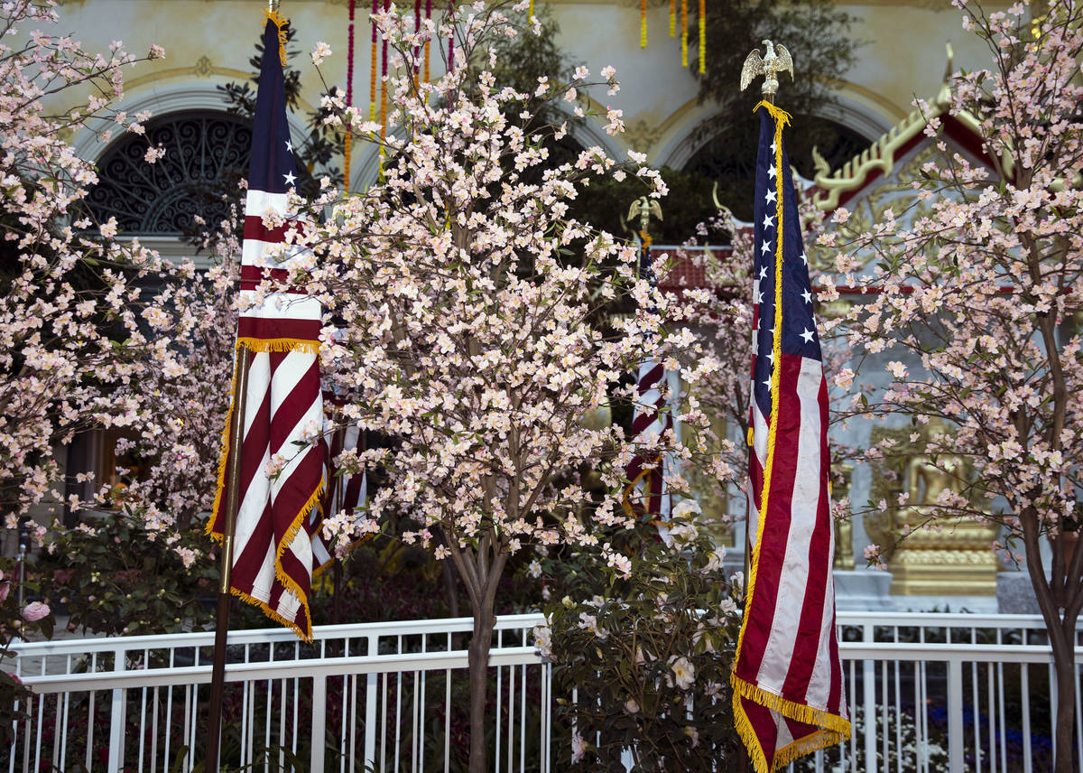 The Bellagio Conservatory, honors the springtime celebration in Washington, D.C., by displaying ...