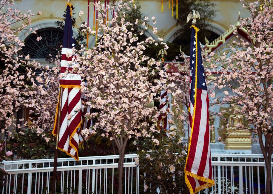 The Bellagio Conservatory, honors the springtime celebration in Washington, D.C., by displaying ...