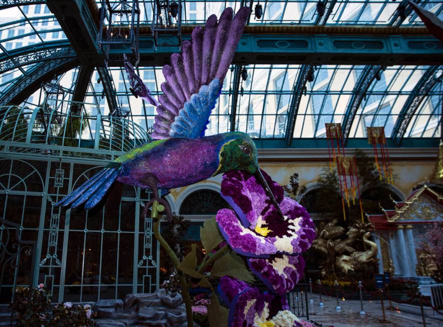 A giant hummingbird is displayed at the Chelsea Garden at the Bellagio Conservatory, honoring t ...