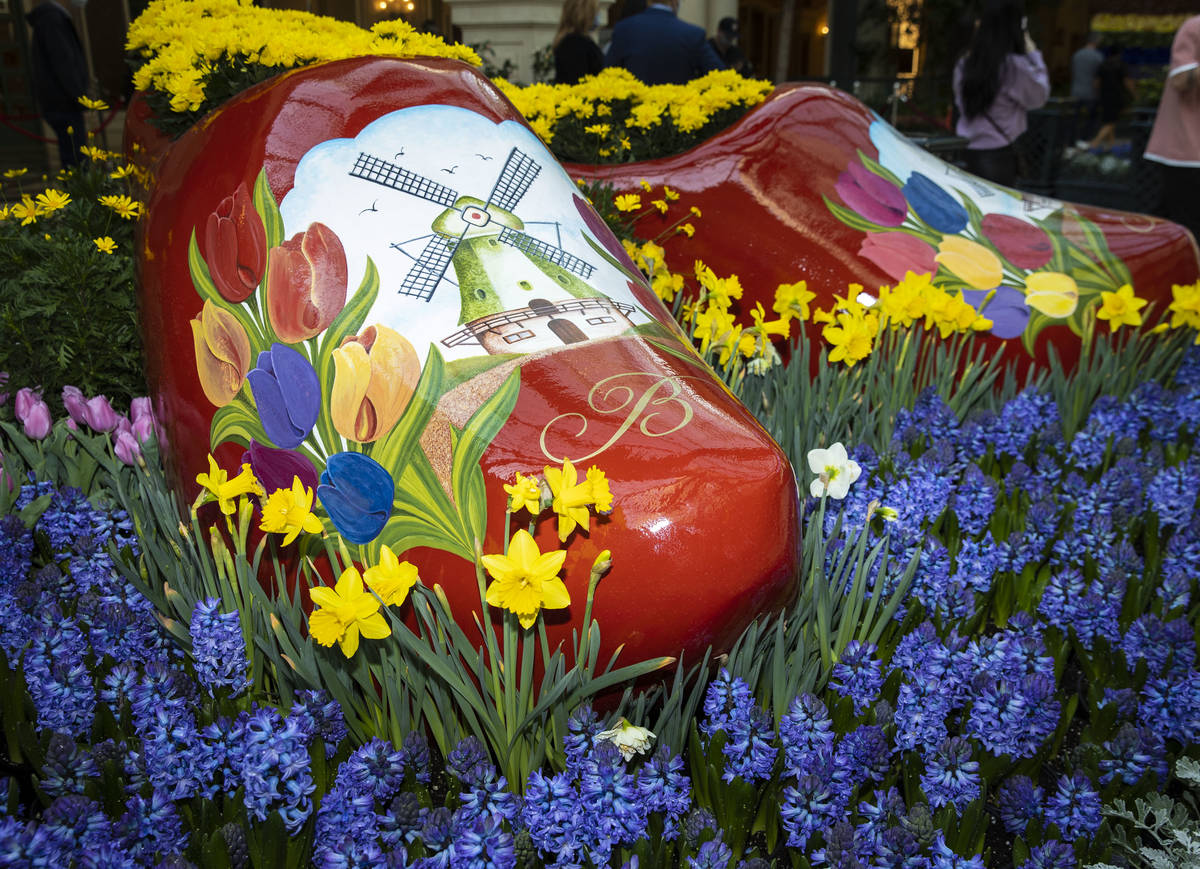 The Bellagio Conservatory, honoring a springtime celebration in Holland, displays the Tulip Fes ...