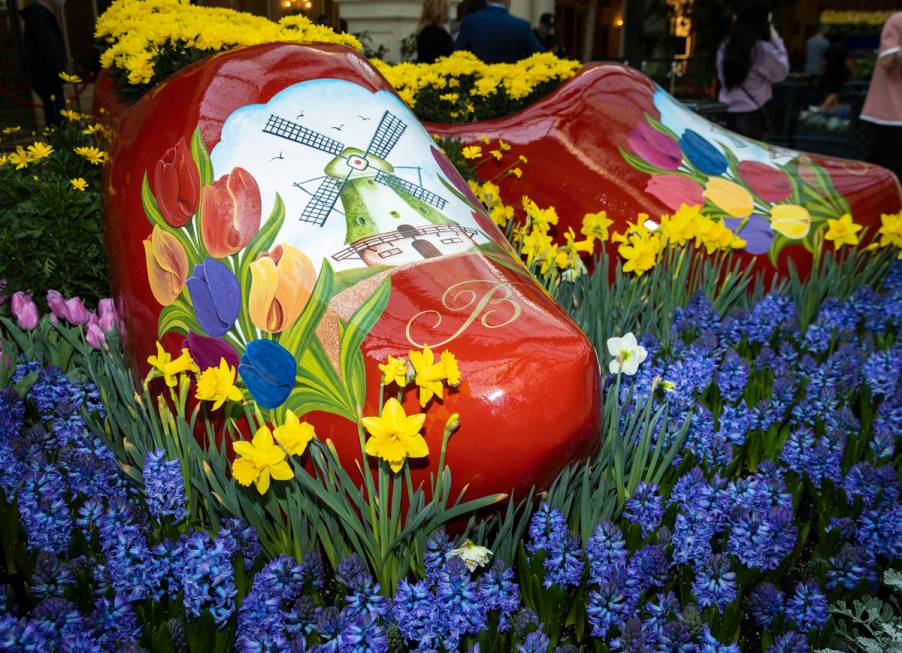 The Bellagio Conservatory, honoring a springtime celebration in Holland, displays the Tulip Fes ...
